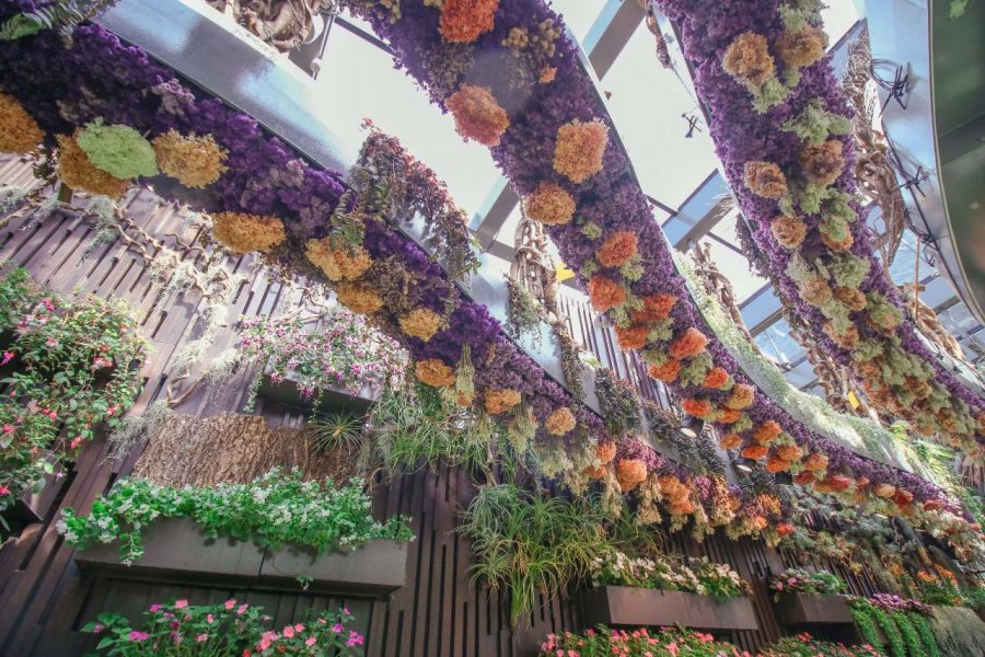 , Enjoy lights, flowers and history at Gardens By The Bay this festive season