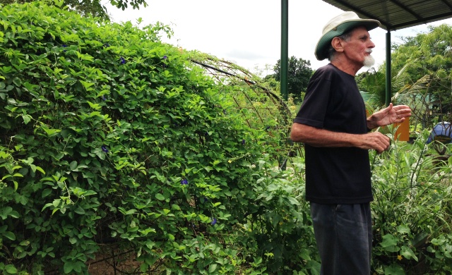 "The Professor" at Bollywood Veggies