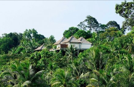 banyan_tree_bintan_deluxe_villa_amidst_rainforest_1.jpg