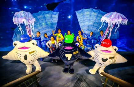 S.E.A. Aquarium; Ocean Fest