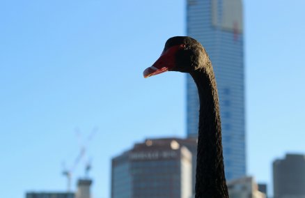 On the Capital City Trail