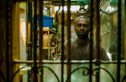 A Yellow Bird. Photo credit: Joseph Nair