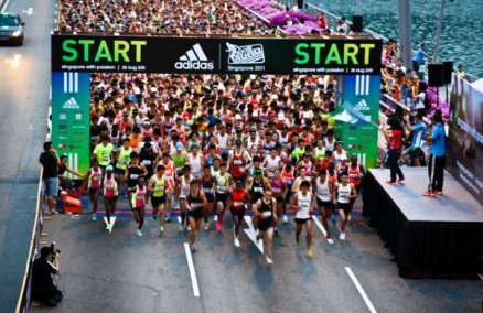 Adidas King of the Road