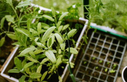 Photo by Aleksandra Boguslawska on Unsplash