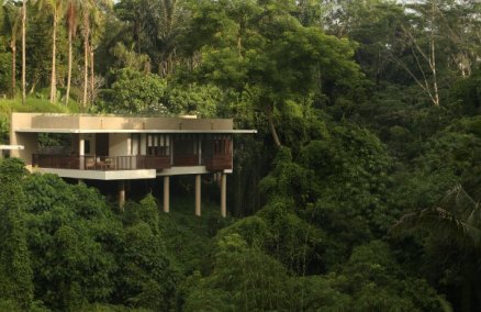 Alila Ubud Terrace Tree Villas
