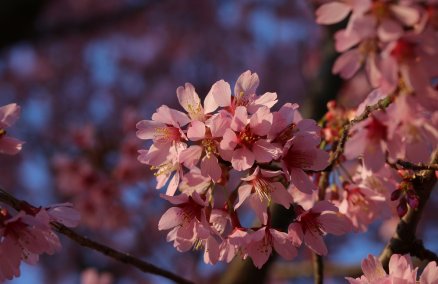 Photo by Alvaroreguly