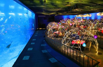 Aqua Gastronomy Spring Edition