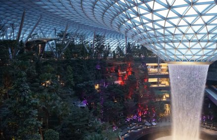 Jewel Changi Airport's Shiseido Forest Valley