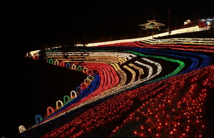 Boseong Green Tea Plantation (credit Korea Tourism Organization)