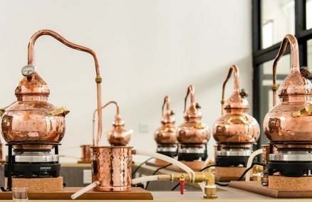 Brass Lion Distillery's Gin School