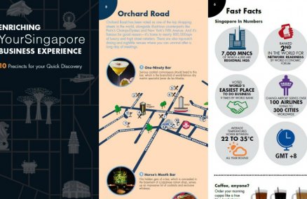 The Business Traveler Guide 2015