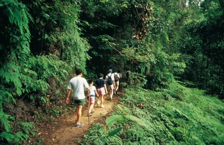 Bukit Timah Nature Reserve