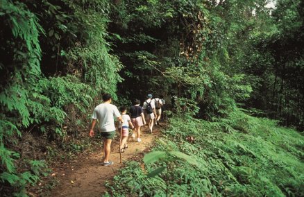 Bukit Timah Nature Reserve, Singapore