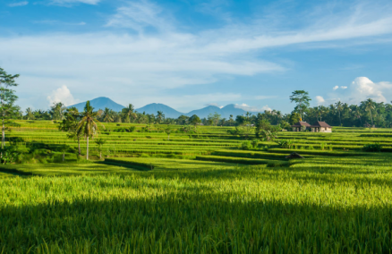 Campuhan Ridge; Photo Credit Sandra Desautels