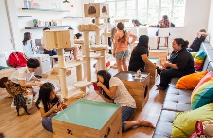 Neko no Niwa, Singapore