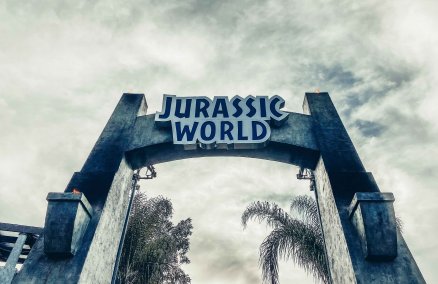 Photo by Christopher Stark on Unsplash