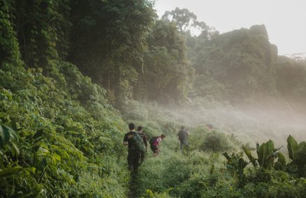 Credit: Louisa May Fung