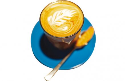 Jimmy Monkey (Photography by Darren Soh)