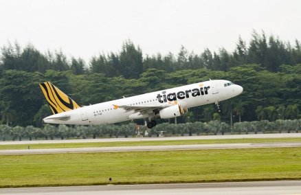 Tigerair