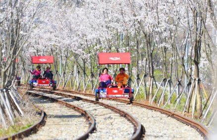 Gangchon Rail Bike