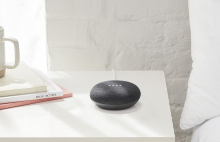 Google Home Mini (Charcoal)