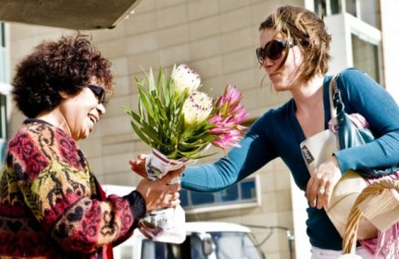 Wellington on a Plate 