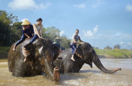 Elephant experiences at Anantara Golden Triangle