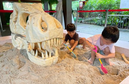 Photo: Mandai Wildlife Group