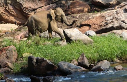 Sri Lanka carbon neutral tour