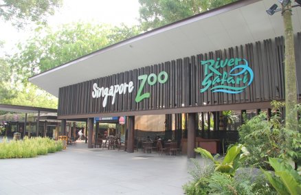 Singapore Zoo