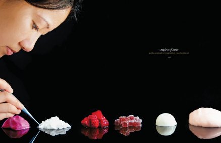 Janice Wong Perfection in Imperfection