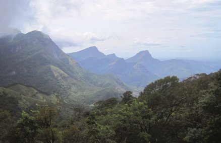 The Knuckles Mountains