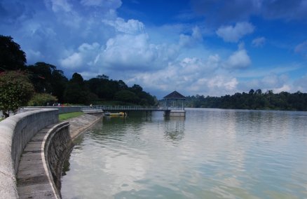 MacRitchie Reservoir, photo credit: Edwin Lim
