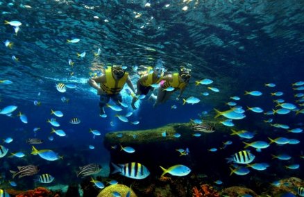 Marine Life Park at Resorts World Sentosa