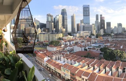 Photo credit: Nikki Chiang