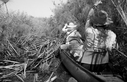 Odyssey: Picturing and imagining the Okavango Delta