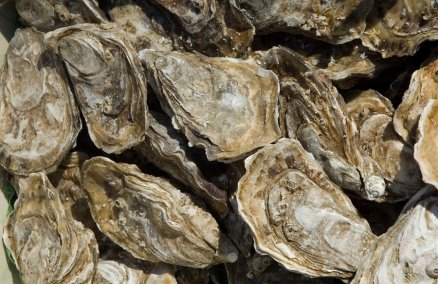 Photo by Paul Asman and Jill Lenoble Follow via Flickr