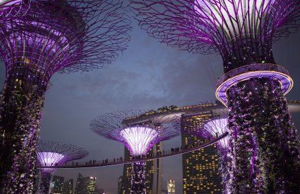 Gardens by the Bay on Planet Earth II