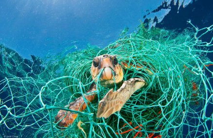 Photograph by Jordi Chias, showcased at Planet or Plastic? exhibition