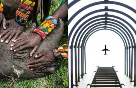 Left: Ami Vitale, USA; screenshot from @yuuuuuwei