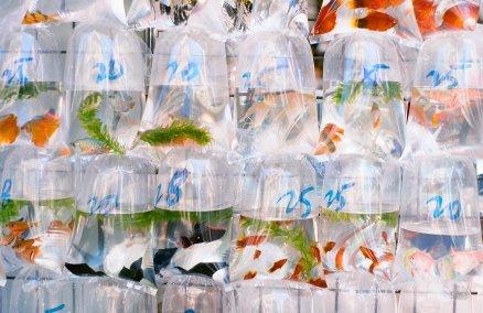 A work by Hong Kong's Matthew Kwan; Affordable Art Fair 2013, Singapore