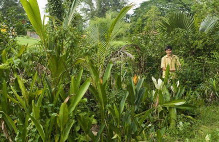 Seletar Camp, Singapore (credit: Craig McTurk)