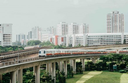 Photo by Shawn Ang on Unsplash