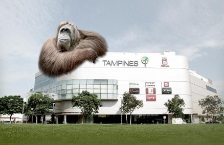 Strip, Browhaus Tampines 1