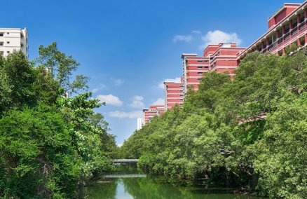 Sungei Api Api (Image courtesy of NHB)