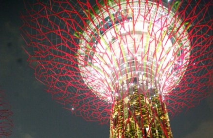 SuperTree by IndoChine