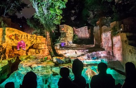 All photos by Wildlife Reserves Singapore