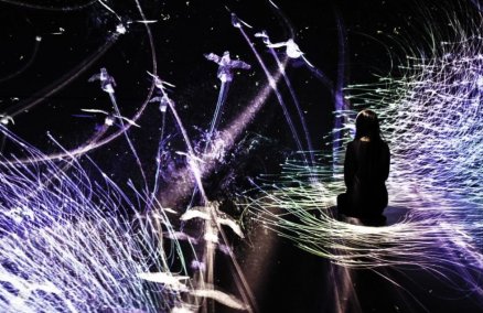 The Way of Birds (Credit: teamLab)