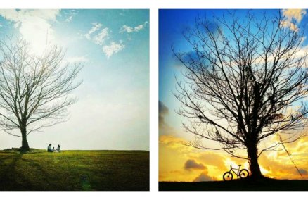 Photo credit: Gene Lau and xtacee