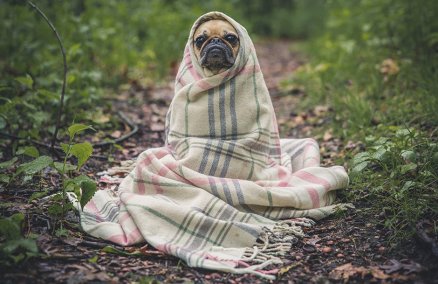 Photo credit: Unsplash user @matthewhenry